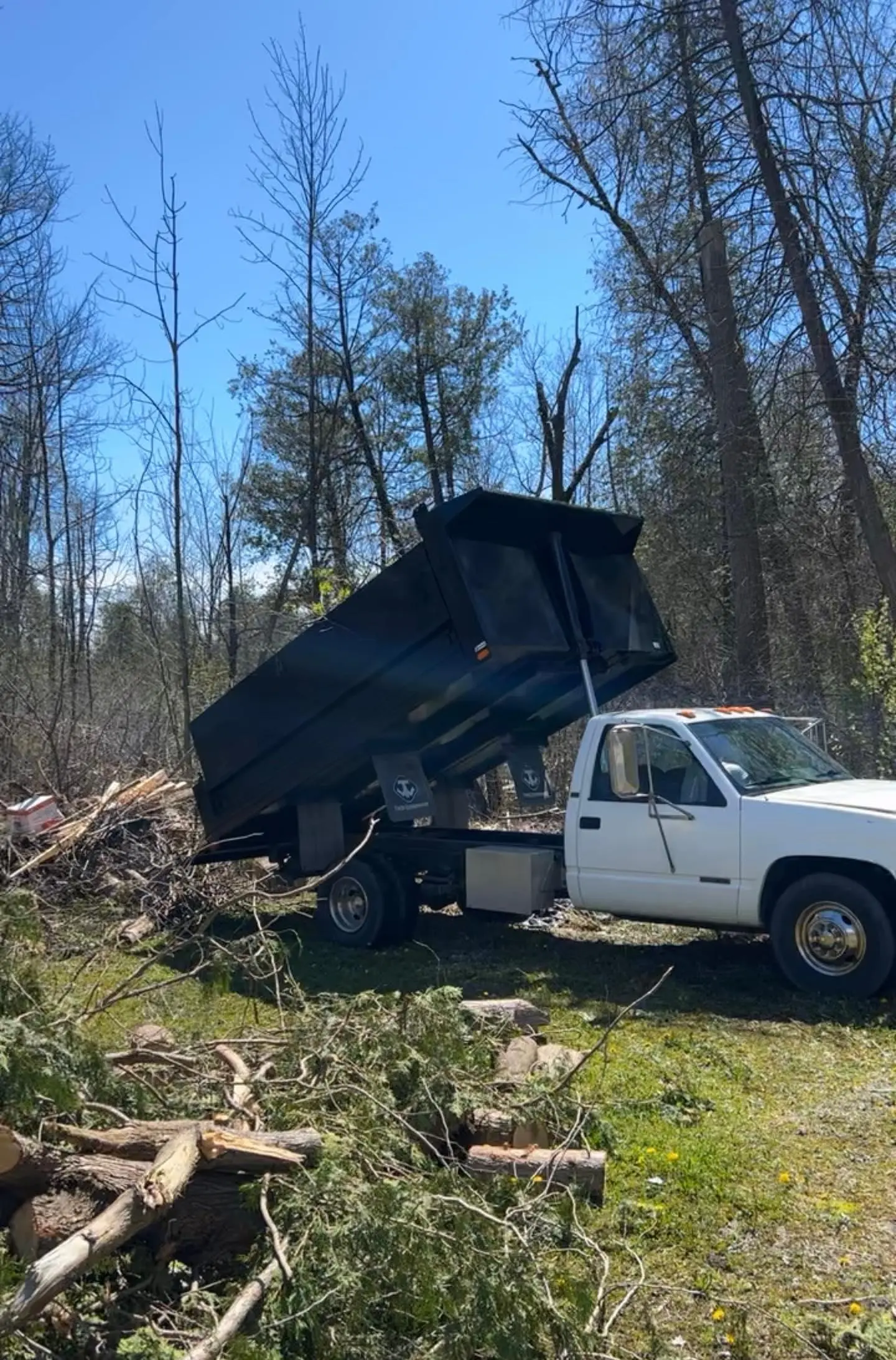 Truck emptying bin