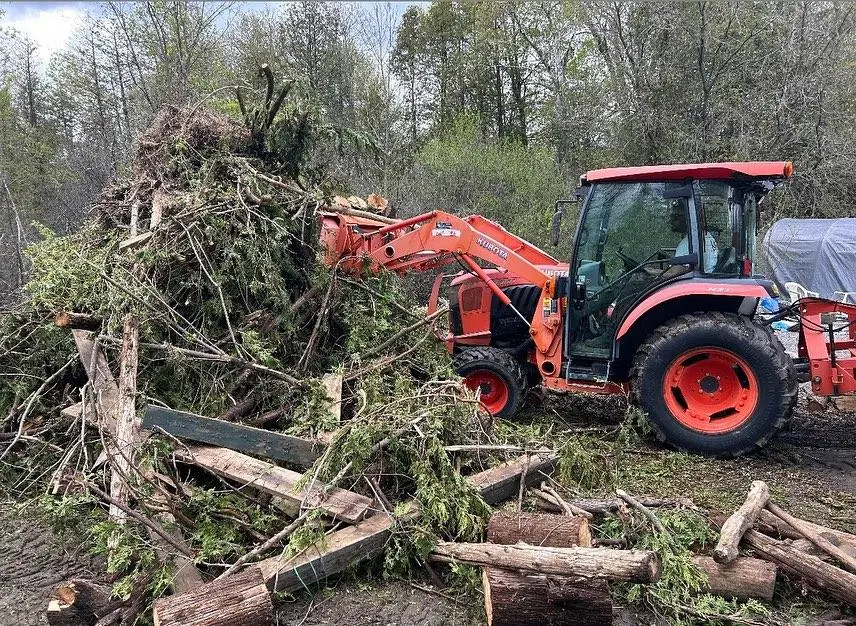 Landscape junk removal